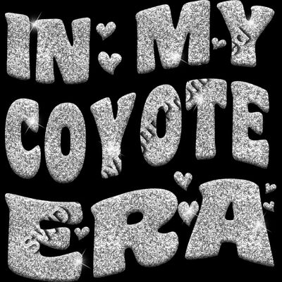 GLT93 SILVER GLITTER Thumbnail