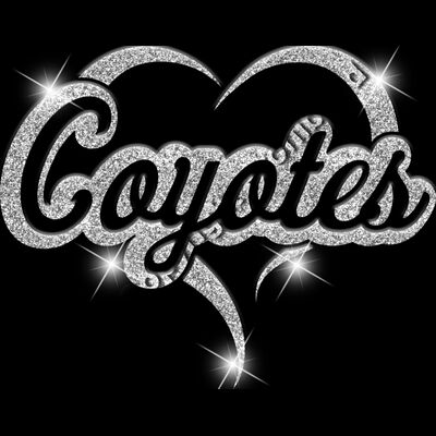 GLT77   SILVER GLITTER Thumbnail